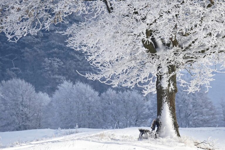 Sognare la neve: significati e interpretazioni